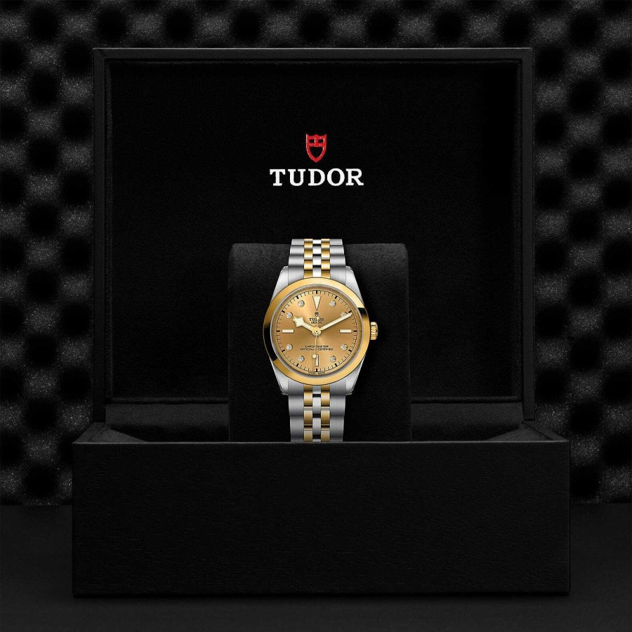 Montres Femme TUDOR | Montre Tudor Black Bay 36 S&G Bo Tier En Acier 36 Mm, Bracelet En Acier Et Or Jaune