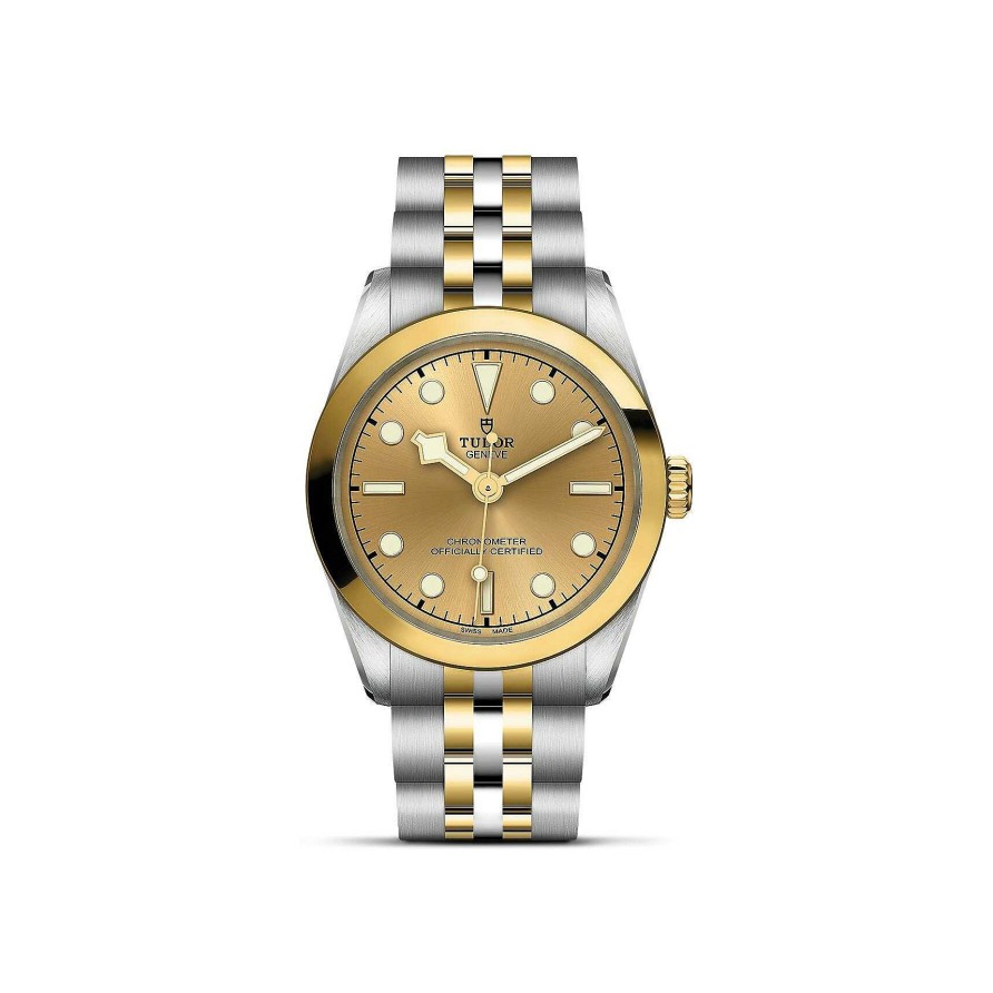 Montres Femme TUDOR | Montre Tudor Black Bay 31 S&G Bo Tier En Acier 31 Mm, Bracelet En Acier Et Or Jaune